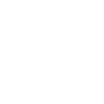 Baseball Icon